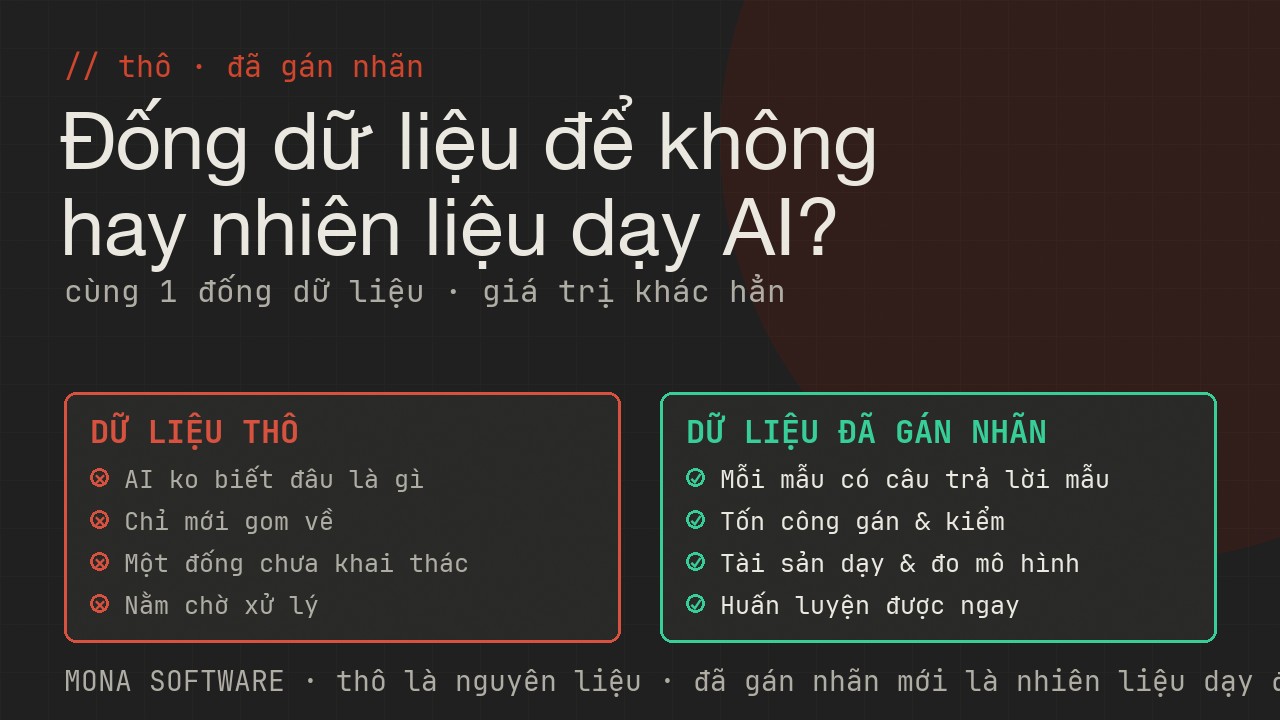 Bảng so sánh dữ liệu thô và dữ liệu đã gán nhãn của MONA: từ đống dữ liệu chưa dùng được sang nhiên liệu dạy AI nhận diện